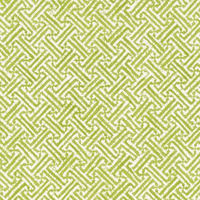 Caspari Fretwork Gift Wrapping Paper in Green, 30 in. x 8 ft. Roll