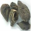 AZAZ NEERAJ - Salab Gatta - Salam Gattha - Orchis Mascula - Salep Orchid Root-100 Gm view 3