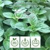Organic Way Dried Oregano Leaf Powder (Origanum vulgare) - European Wild-Harvest | Vegan, Non GMO & Gluten Free | Origin - Albania (1/2LBS / 8Oz) view 4