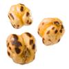Smarty Stop Chickpea (Double Roasted, 2 Pound (Pack of 1)) view 3