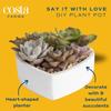 Costa Farms Mini Succulent DIY Heart Kit Fully Rooted, 2-inch Live Indoor Plant, 4-Inches Tall, Heart Frame DIY Kit, Housewarming Gift, Room Decor view 4