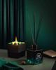 Amanda de Montal Armagnac Enchant Diffuser - Notes of Fern, Pine Cone, Moss, & Armagnac - 500 ML view 4