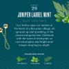 Caldrea Linen and Room Spray Air Freshener, Made with Essential Oils, Plant Derived Ingredients, Juniper Laurel Mint Scent, 16 oz view 4