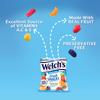 Welch's Fruit Snacks, Variety Pack With Mixed Fruit, Berries 'N Cherries & Island Fruits, Gluten Free, Bulk Pack, 5oz (Pack of 12) view 4