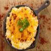 Carmie's Kitchen Baked Enchilada Baked Dip Mix view 3