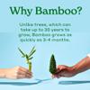 Caboo Tree Free Toilet Paper, Septic Safe Bath Tissue, Quick Dissolving 2 Ply Sheets - 300 Sheets Per Roll, 4 Double Rolls view 4