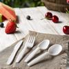 Nicole Fantini Medium Weight Super Economical Combo Pack of Cutlery (Tea Spoon, Soup Spoon, Fork & Knife 200 Each) view 3