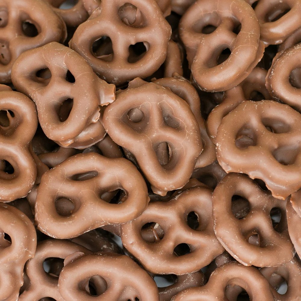 Milk Chocolate Covered Pretzels | 1-Pound Bag | Salted Pretzels in Sweet Chocolate