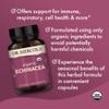 Dr. Mercola Organic Echinacea, 30 Servings (60 Capsules), Dietary Supplement, Supports Immune Health, Non-GMO, Certified USDA Organic view 4