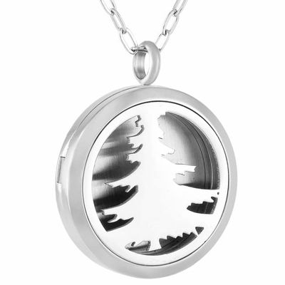 KBFDWEC Aromatherapy Essential Oil Diffuser Necklace Stainless Steel Locket with 20" Chain 5 Refill Pad IJP0150