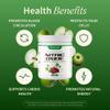 Snap Supplements Organic Beet Root Powder, Nitric Oxide Supplements for Men & Women, Organic Beets & Pomegranate, Supports Healthy Energy Levels, 8.8 oz (1 Month Supply), Apple view 4