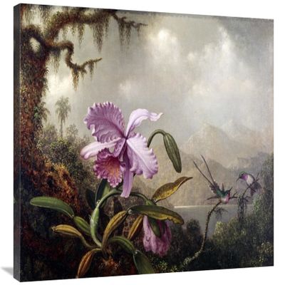 36 in. Hummingbirds & Orchids Art Print - Martin Johnson Heade