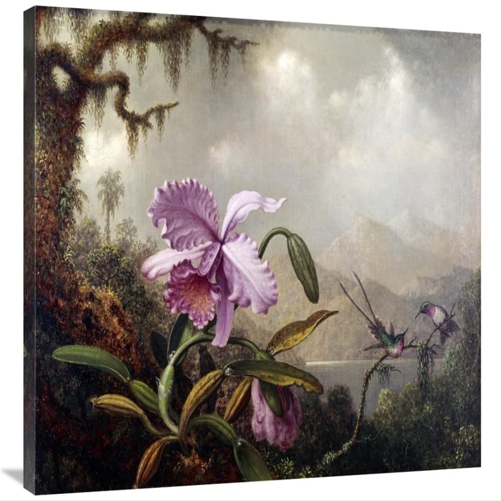 36 in. Hummingbirds & Orchids Art Print - Martin Johnson Heade