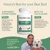 5 Defenders Mushroom Supplement for Cats & Dogs  Chaga, Shiitake, Reishi, Turkey Tail, Maitake  Cat Multivitamin & Dog Supplement for Wellness Support 90 ct Real Mushrooms Powder Capsules view 4