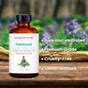 Majestic Pure Essential Oil with Glass Dropper - 100% Pure and Natural - Essential Oils for Diffuser, Aromatherapy, Soap and Candle Making, Patchouli Essential Oil, Patchouli Oil, 1 Fl Oz view 4
