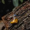 Ayana Crystals Tiger Eye Tumbled Pendant - Handcrafted, Ethically Sourced, Natural Men's Necklace with Tigers Eye Crystal for for Leos, July Birthstone view 2