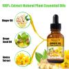 12 Pack Ginger Oil,Ginger Oil for Lymphatic Drainage,Pure Ginger Essential Oil,Relaxing Massage Oils for Massage Therapy,SPA Massage Oils,Sore Muscle Arnica Oil for Men and Women view 2
