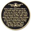 1 to 50 Year Twisted Tree of Life Sobriety Coin - Gold Plated AA Chips & Medallions - 3 Year Sobriety Coin - Black view 2