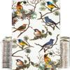 100PCS Guest Towels Disposable 3 Ply Paper Hand Napkins for Bathroom Spring Bird Napkins Everyday Decorative for Dinner Wedding Tea Party Table Anniversary Bridal Powder Room view 1