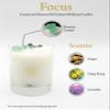 ALUMINATE LIFE Luxury Glass Jar Candle, 14.5 OZ, Focus - Fluorite Crystal Infused - Scents of Orange, Ginger, Ylang-ylang, & Lavender - Awareness, Mental Order, & Clarity - Coconut Wax Blend view 3