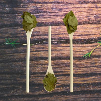 Basil Leaves