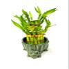 JM BAMBOO Two-Tiered 3&5 Lucky Bamboo Frog Stand Vase Green view 1