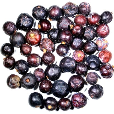 Nelson's Tea - Juniper Berries - Whole (16 oz)