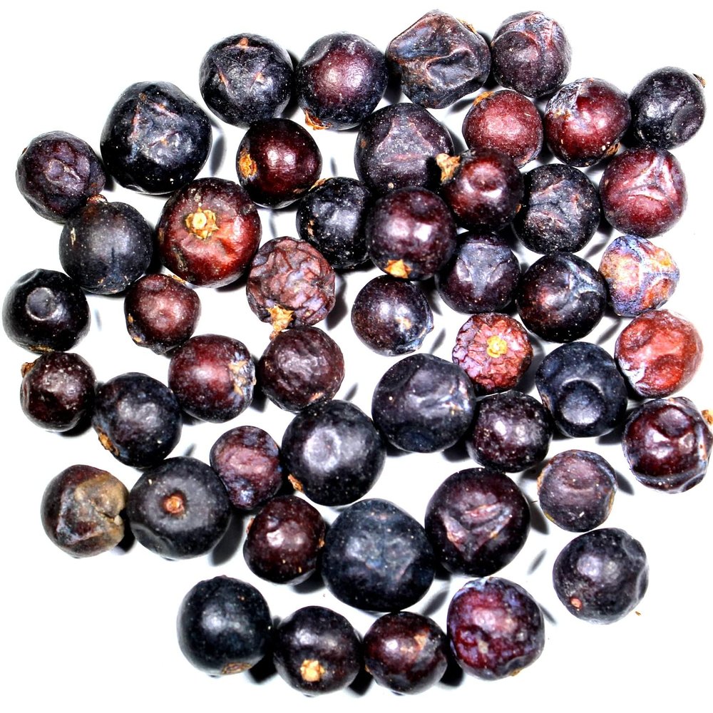 Nelson's Tea - Juniper Berries - Whole (16 oz)