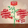 Mutti Organic Tomato Puree (Passata), 19.7 oz. | 6 Pack | Italys #1 Brand of Tomatoes | Fresh Tastefor Cooking| Bottled Tomatoes | Vegan Friendly & Gluten Free | No Additives orPreservatives view 3