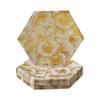 Silver Spoons Hexagon Disposable Paper Plates (18 Pc) Metallic Floral Print, Heavy Duty Paper Plates 7 inch, Disposable Party Dessert Plates for Birthday, Gold Dinnerware Set for Baby Showers, Weddings & Events view 1