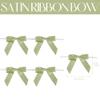 AIMUDI Sage Green Satin Ribbon Bows 2.5" Pretied Twist Tie Bows for Treat Bags Cake Pop Gift Wrapping Basket Cookie Candy Bagging Party Favors- 50 Counts view 2