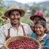 Aguacero Panama Geisha Whole Arabica Bean Coffee | Private Collection Single-Origin | 12 oz Bag | Jasmine, Strawberry, Peach and Floral Aroma Notes view 4