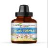 Kids Focus Formula Liquid Extract - Best Natural Brain and Focus Support Supplement for Kids - Ashwagandha & Moringa -Vegan & Organic Drops -Case of 12 Glass Bottles - Herbal Goodness view 2