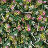 St Patrick's Day Candy Mix - 4 Pound Bulk Pack - Sour Apple Popping Rocks and Gum-Filled Lollipops - Individually Wrapped Party Favors & Goodie Bags Fillers - Sour Candy