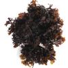 VITAMINSEA Irish Sea Moss Dried Seaweed | Wild North Atlantic Seaweed for Snacking, Seasoning, Soups & Salads | Rich in Vitamins, Minerals & Antioxidants Great for Thyroid Support | Whole Leaf (16 OZ) view 1