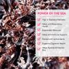 VITAMINSEA Irish Sea Moss Dried Seaweed | Wild North Atlantic Seaweed for Snacking, Seasoning, Soups & Salads | Rich in Vitamins, Minerals & Antioxidants Great for Thyroid Support | Whole Leaf (16 OZ) view 4