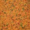 Bombay Sweets Chanachur Namkeen Ethnic Snacks (600 gram) view 3
