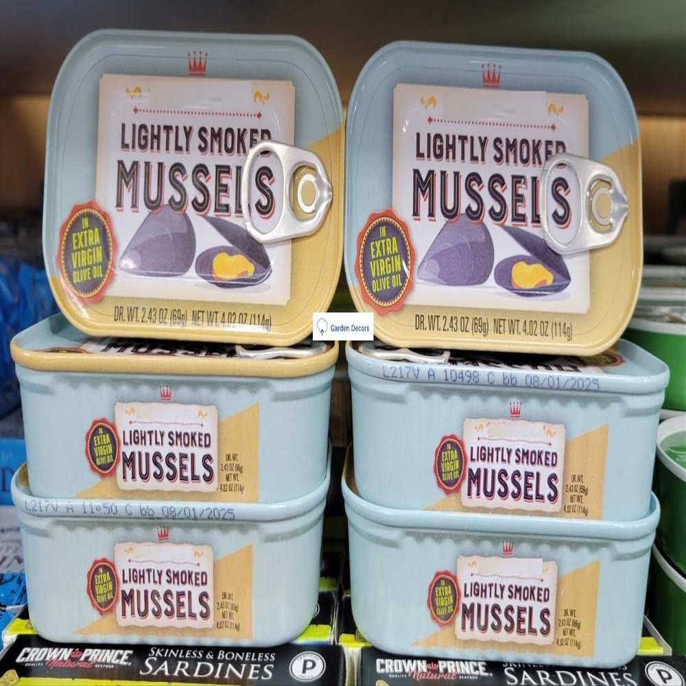TraderB Trader Joes Lightly Smoked Mussels in Extra Virgin Olive Oil 4.02oz 114g (Six Cans)