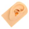 Beaupretty Ear Model for Piercing Practice Realistic Simulation Ear Props for Jewelry Display and Training for Education and Demonstration Use Practice Tool view 1