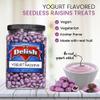 Purple Yogurt Covered Raisins by It's Delish, 3 LBS Jumbo Container | Kosher Dairy-Free Jumbo Yogurt Covered Fruit for Vegan Snacking | Dried Raisins Coated in Yogurt-Flavored Shell Snack Treats view 3