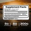 American Standard Supplements Pure Creatine Monohydrate Micronized Powder - Micronized Creatine Monohydrate Powder - Unflavored - 5000mg per Serving - 60 Servings (300g) view 2