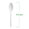GreenWorks 200 Count 4.5" Mini Compostable Spoons,Small Tasting Spoon for Icecream,Dessert,Coffee,Sampling view 3