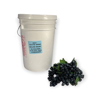 2021 Petite Sirah Bucket Frozen Grape Must 6 Gallons - Livermore Valley California
