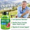 NATURELO Whole Food Multivitamin for Men 50+ - with Vitamins, Minerals, Organic Herbal Extracts - Vegan Vegetarian - for Energy, Brain, Heart and Eye Health - 240 Capsules view 4