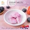 Wel-B Freeze Dried Food, Fresh Berries with Yogurt Freeze Dried to Yummy, Crispy Fruit Snacks, Healthy Snack for Kids and Adults with Natural Flavor and Nutrition, No Added Sugar (25g) view 2
