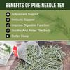 Organic Pine Needle Tea Bags - 100% Pure Natural Dried Pine Needles Herbal Tea, Effectively Antioxidant & Immune Support, Caffeine Free, 30 Tea Bags view 3