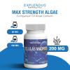 Celulas Madres- Stem Cell Supplement for Anti-Aging & Longevity, Non-GMO, Gluten-Free, Vegetarian Capsules, 60 Count (4) view 4