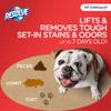 Resolve Pet Specialist Heavy Traffic Foam Carpet Cleaner, Pet Stain & Odor Remover, 22 oz Cans, 2 Pack view 2