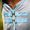 AmEco Bug Buster 72 Silver/Sky Blue view 4