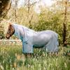 AmEco Bug Buster 69 Silver/Sky Blue view 1